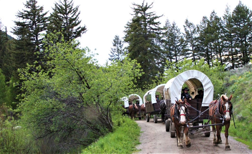 The wagons driving up Cache Creek Canyon. A good chuck wagon dinner awaits.