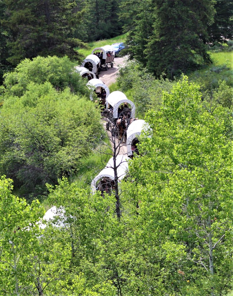 Wagons headed up Cache Creek Canyon for a chuck wagon dinner.