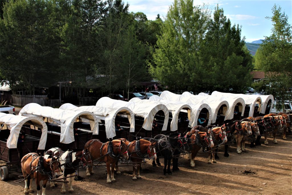 All 10 wagons at the Bar T 5 Chuck Wagon Dinner Ride hooked up and ready to go.