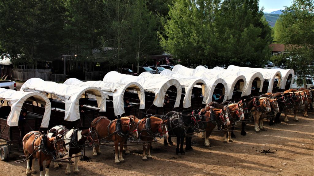 The wagons are lined up ready to take our guests up Cache Creek Canyon to a hearty chuck wagon dinner.