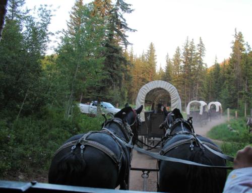 Wagons Pulling Into Camp At The Bar T 5