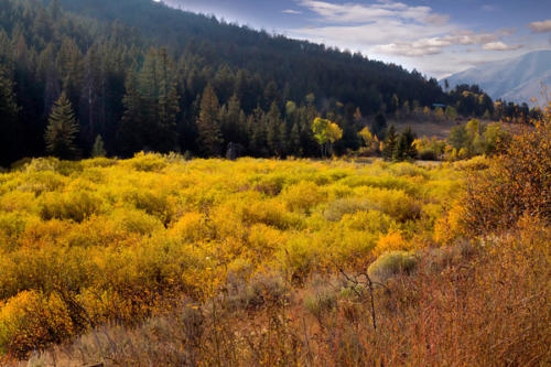 Colorful View From The Wagons