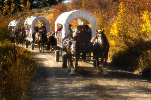Enjoying Cache Creek Canyon Fall Colors