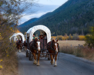 Wagons Headed Home