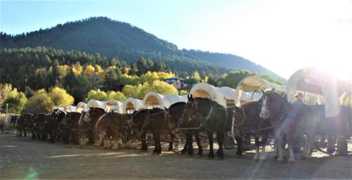 Wagons Hooked At The Bar T 5