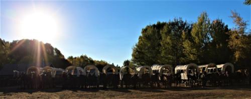 Wagons With Sun
