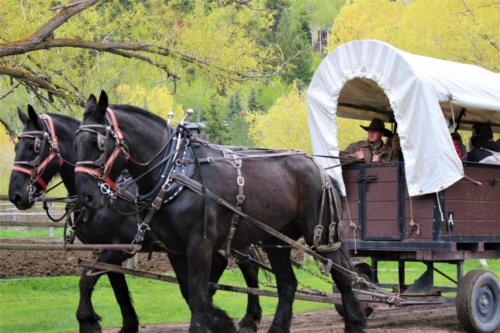 Butch & Sundance and Colton