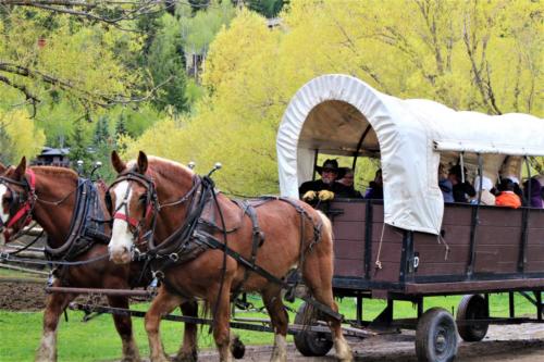 Wyatt & Bruno and Mark