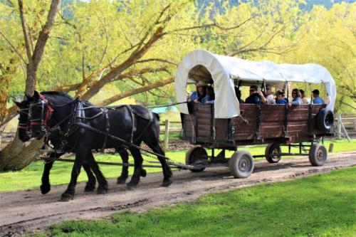 Black & Powder and Chance