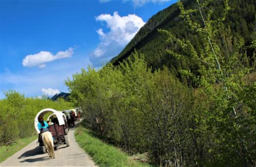 Behind The Wagon Train At The Bar T 5 Covered Wagon Cookout & Show