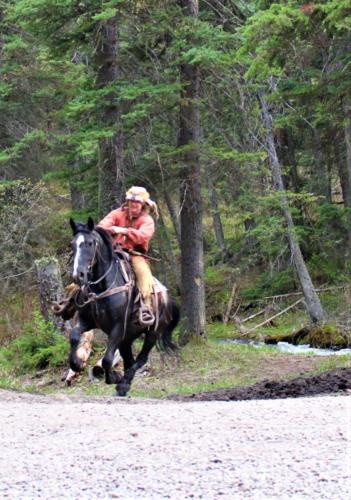 Buckskin Riding Into Camp