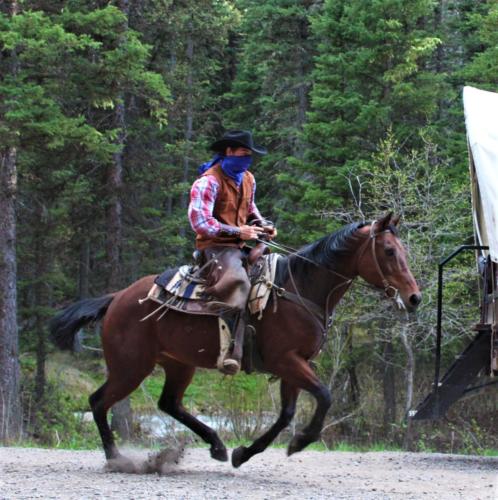 Damsel And Her Outlaw-Treven