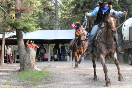 Buckskin Chasing Outlaws Out Of Camp