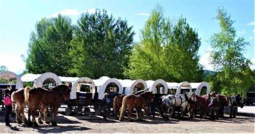 Hooking Up The Horses At The Bar T 5