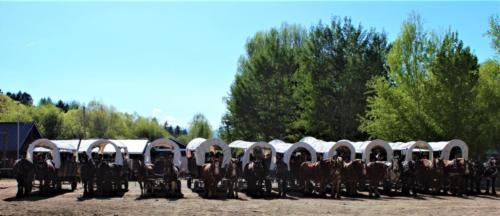 All The Wagons Lined Up At The Bar T 5 Covered Wagon Cookout & Show