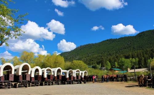 Wagons and Horses At The Bar T 5 Covered Wagon Cookout & Show