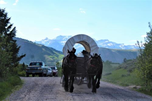 Buck & Shot, Liz and Leisl-3