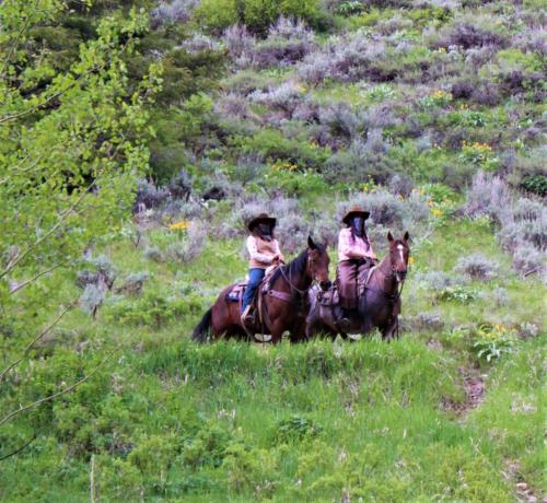 The Outlaws On The Hill