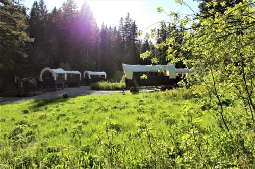 We Circle The Wagons As Everyone Heads Up To Eat The Chuck Wagon Dinner At The Bar T 5 Covered Wagon Cookout and Show
