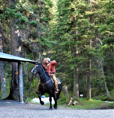 Buckskin Coming Into Camp