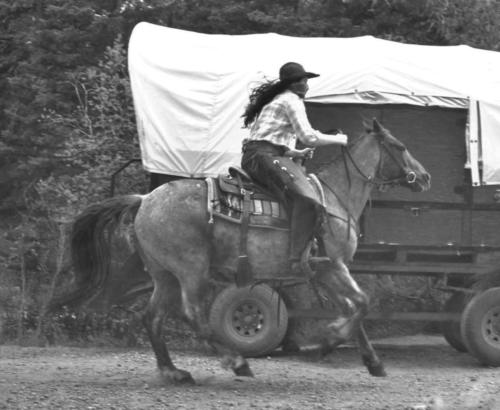 Black and White Outlaw