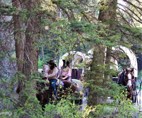 Outlaws Hiding In The Trees