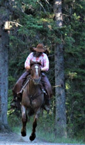 An Outlaw