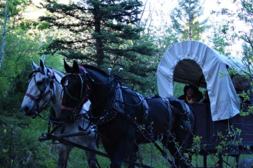 Soot & Silver and Becca