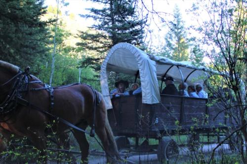Driving A Wagon At The Bar T 5