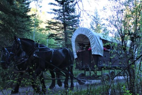 Daniel & Boone and Bridger