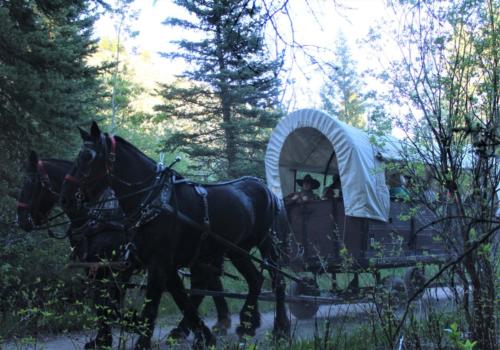 Rough & Tumble and Colton