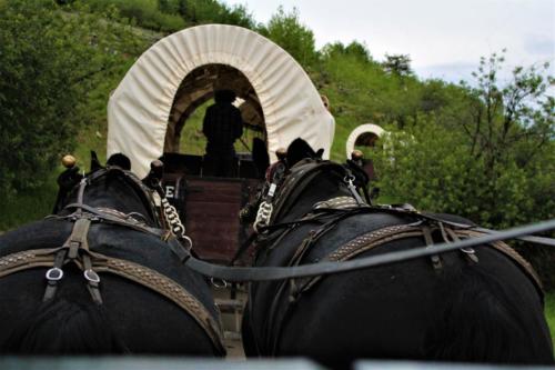 Wagons Going Up Cache Creek Canyon-Horses
