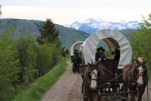 Wagons Headed Up Cache Creek Canyon With The Tetons In The Background