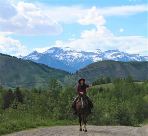 Following The Wagons-Tetons