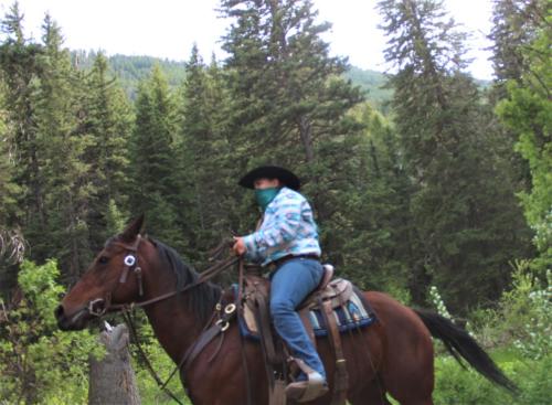 Damsel and Her Outlaw