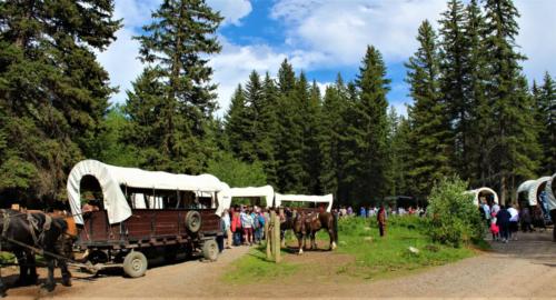 The Wagons Circled And The Guests Are Headed Up To Their Chuck Wagon Dinner