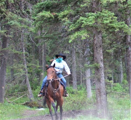 An Outlaw On Damsel Coming Into Camp