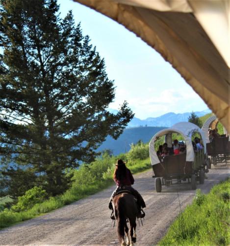 The Wagons Headed Down Cache Creek Canyon