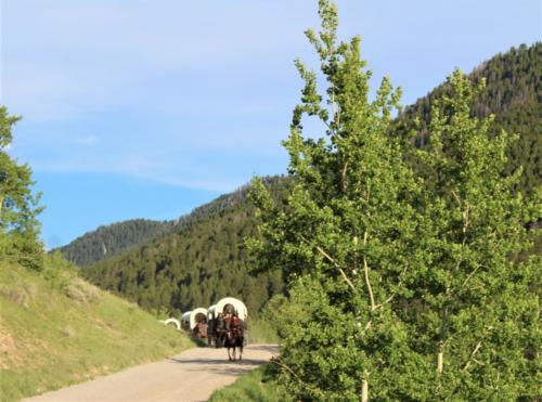 The wagons are headed down Cache Creek Canyon after a great chuck wagon dinner