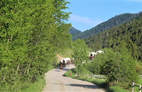 Wagons Coming Down Cache Creek Canyon Big Hill