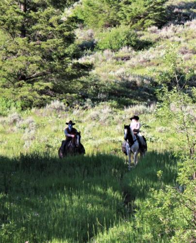 The Outlaws Overlooking the Bar T 5 Camp
