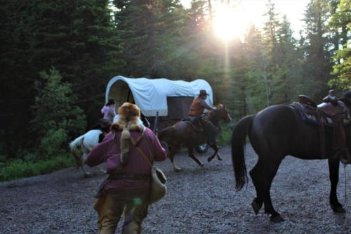 Buckskin Chasing The Outlaws Out of Camp