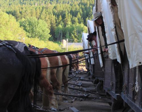 The Drivers In Their Wagons