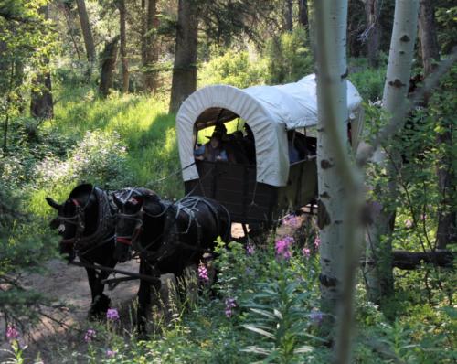 A wagon headed up beautiful Cache Creek Canyon