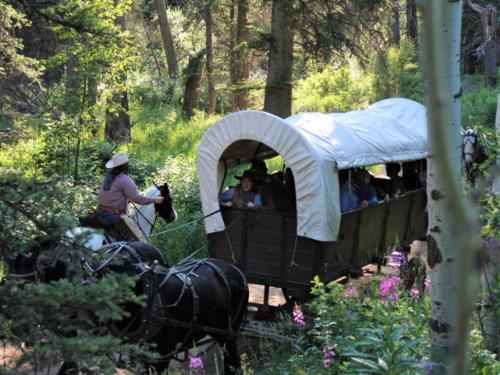 Becca's Wagon Being Attacked By An Outlaw