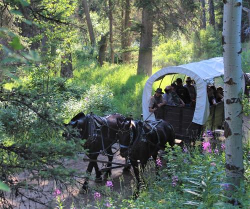 Daniel & Boone and Bridger