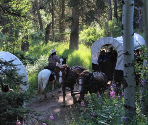 Outlaw by Lady & Tramp