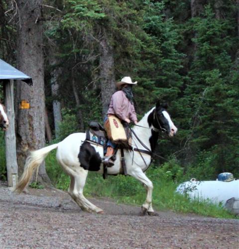 Cookie Spinning-Shandell
