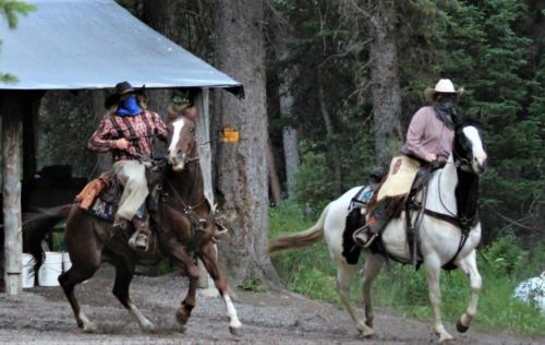 The Outlaws-Dallee and Shandell