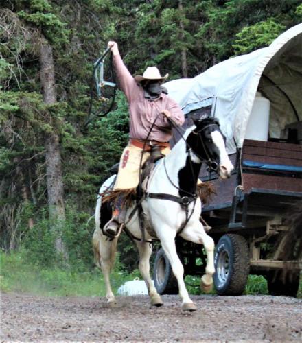 "We Stole Your Horse, Buckskin!"